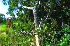 FOTOS (175) � IMAGEN FOTOGRAFIA